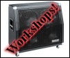 Guest Workshops